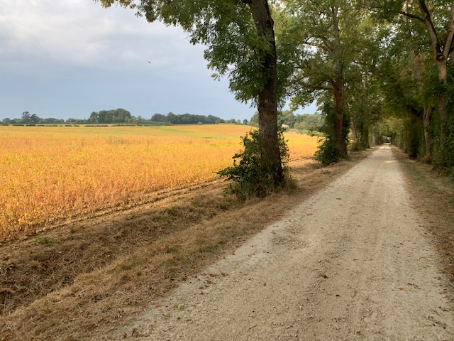 Chemin de Compostelle